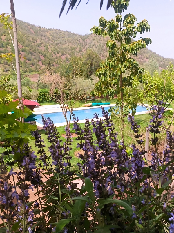 Jardin 4
