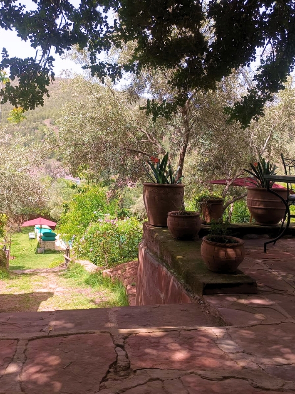 Jardin 2