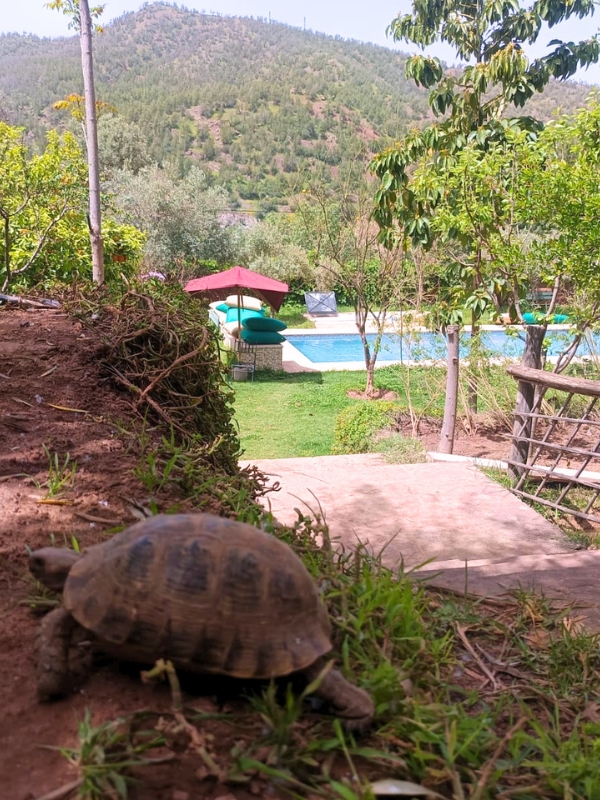 Jardin 3