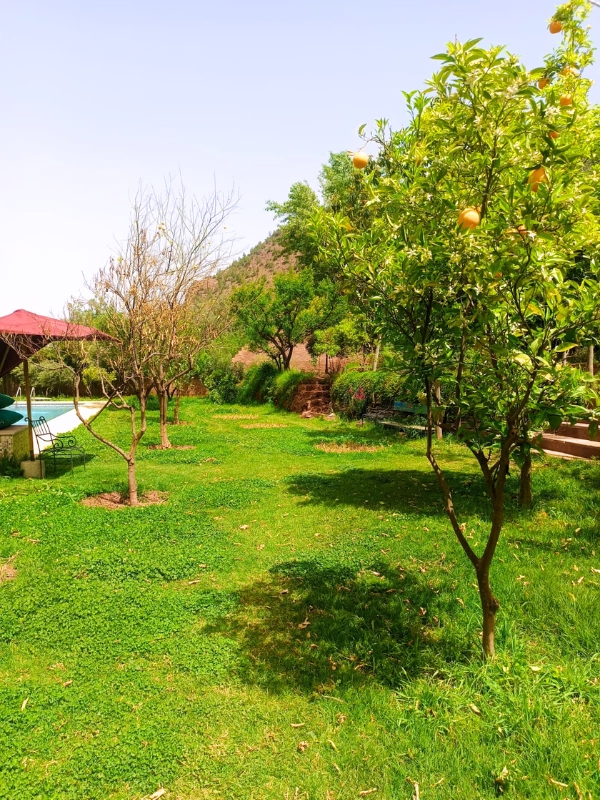 Jardin d'Éden