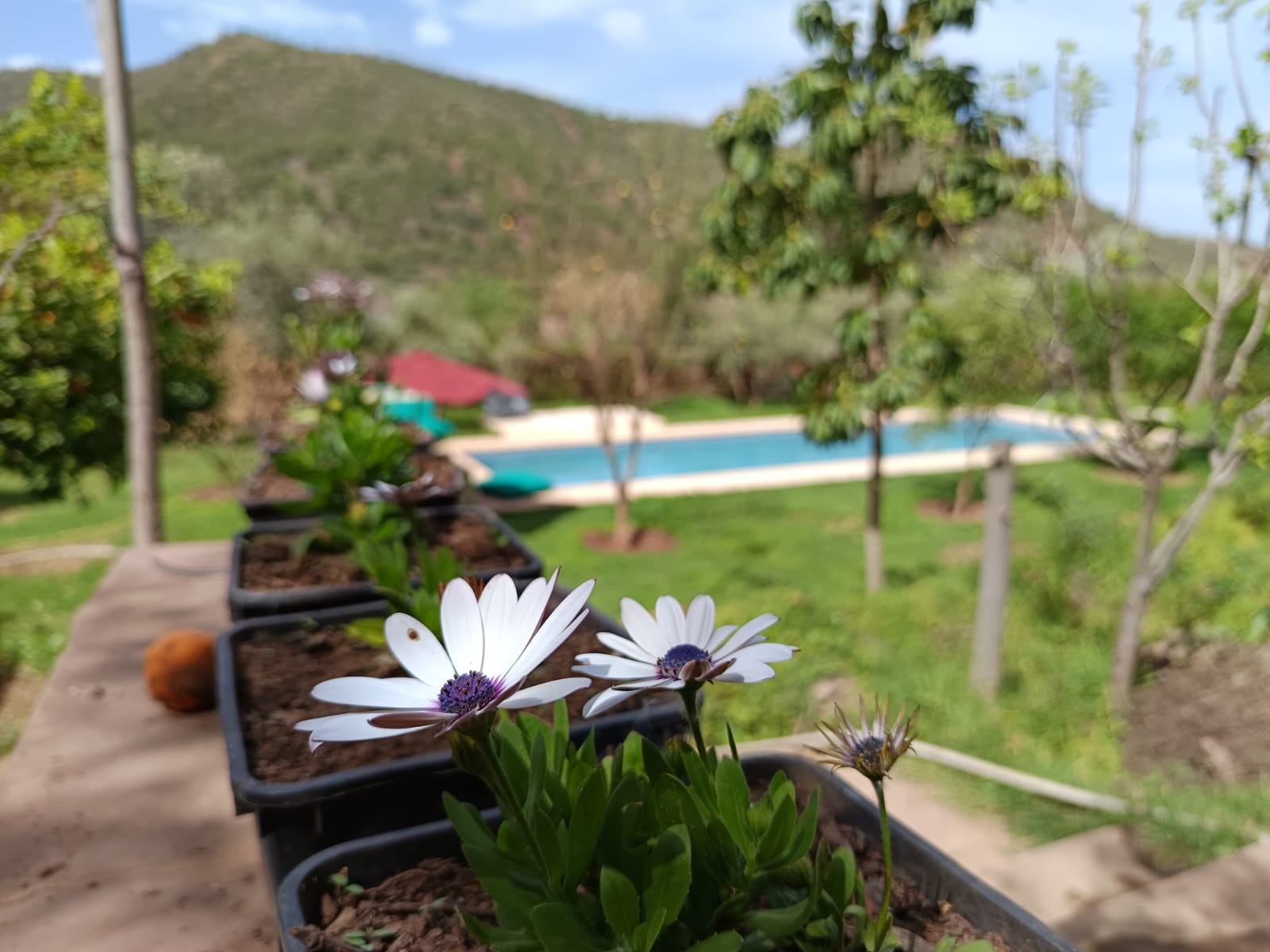 Yoga session at Jardin des Délices